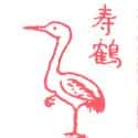 寿鹤 crane