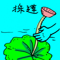 採莲 lotus flower,lotus picking